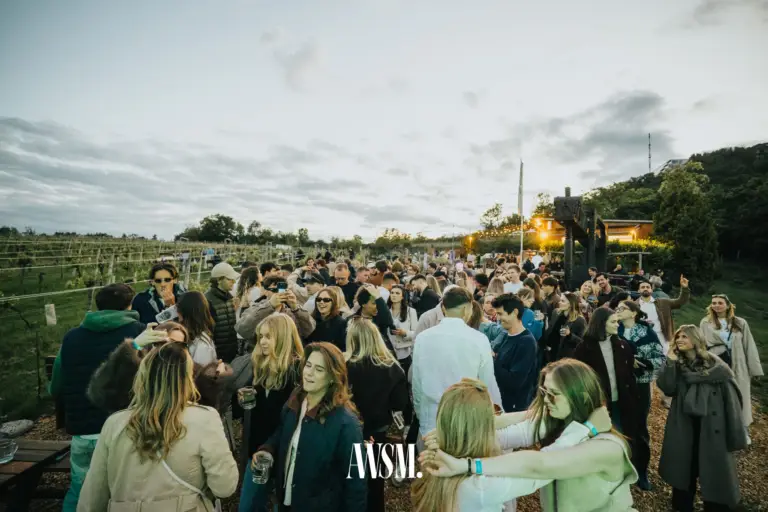 Volle Menge feiert zwischen den Rebzeilen am Nussberg in der Abenddämmerung, dahinter ein beleuchtetes Haus – Vineyard Edition, 24.05.2025