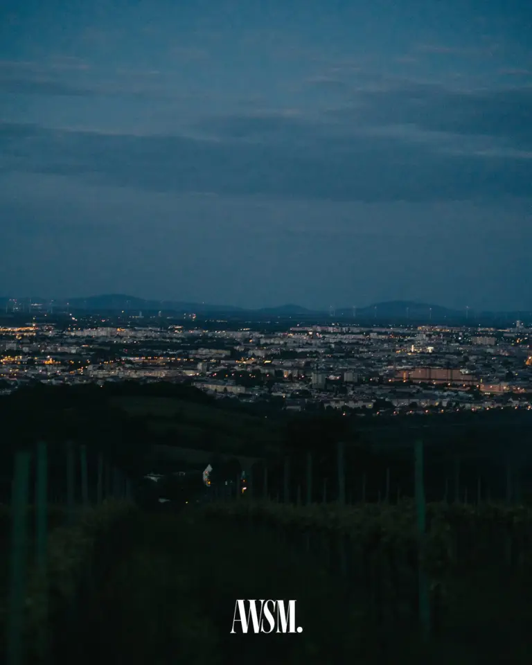 Blick vom Weinberg am Nussberg auf die Lichter von Wien zur blauen Stunde, Hügel am Horizont – Vineyard Edition, 24.05.2025