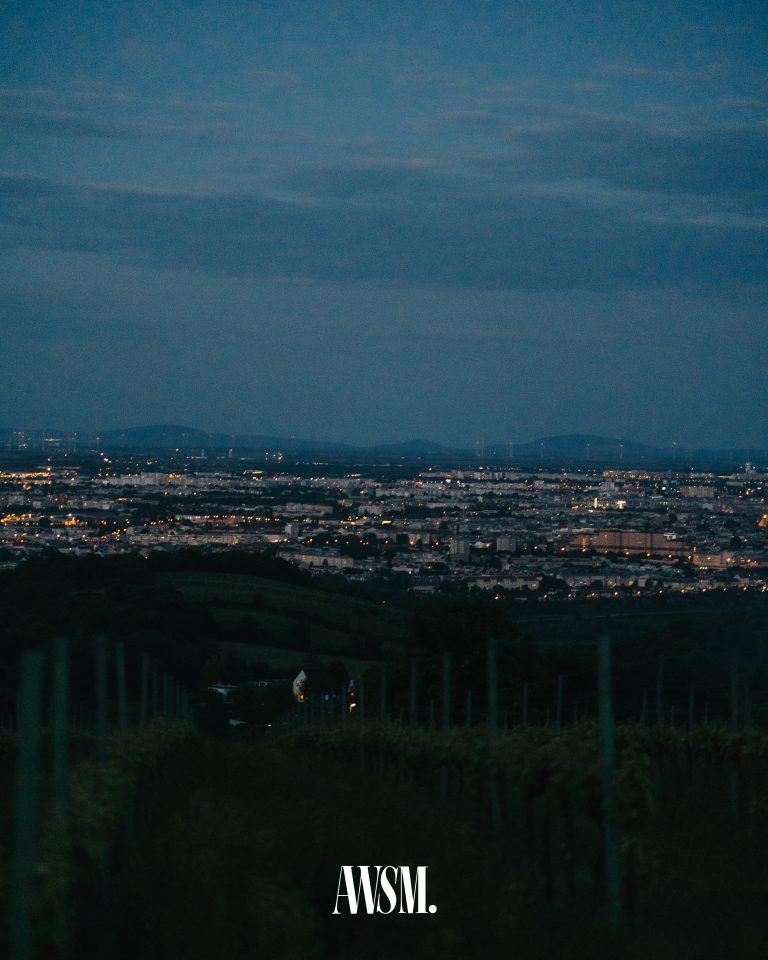 AWSM Vineyard Edition Weingut Party Wien am 24.05.2025 - Foto 001