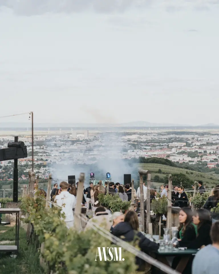 Blick über Gäste an Tischen zwischen den Rebzeilen zum DJ-Bereich mit Nebel, dahinter das Panorama von Wien – Vineyard Edition, 24.05.2025