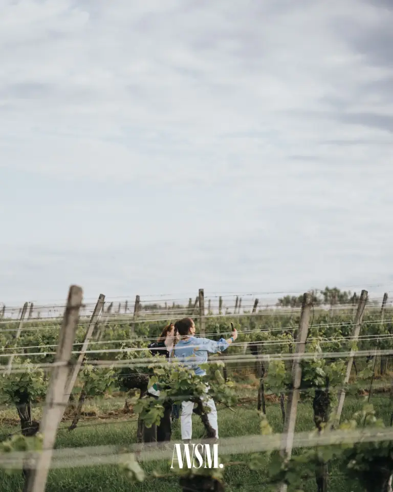 Zwei Gäste machen ein Selfie zwischen den Rebzeilen am Nussberg unter weitem, bewölktem Himmel – Vineyard Edition, 24.05.2025