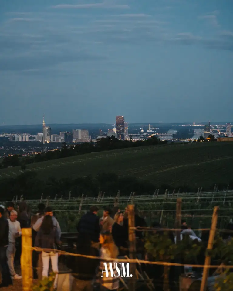 Gäste zwischen den Rebzeilen in der Dämmerung, dahinter Weinberghänge und die beleuchtete Skyline von Wien – Vineyard Edition, 24.05.2025