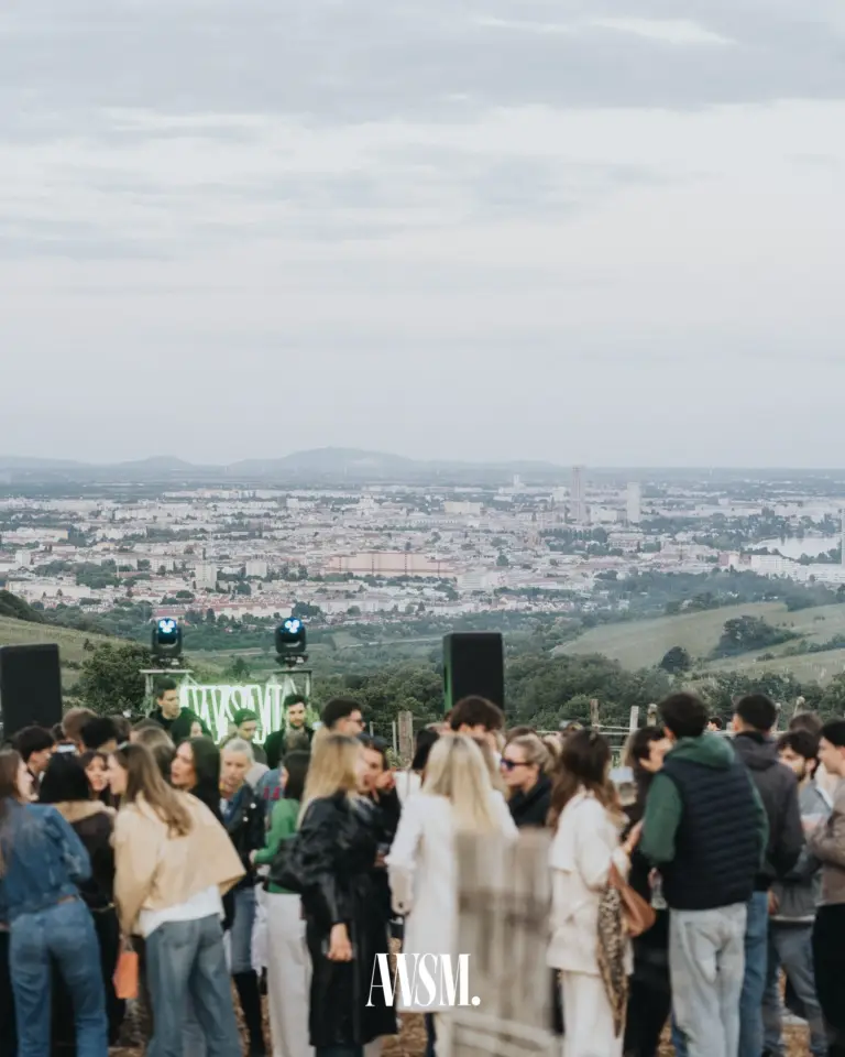 Menge vor dem DJ-Bereich mit AWSM-Neonschild und Scheinwerfern, dahinter der weite Blick über Wien – Vineyard Edition, 24.05.2025