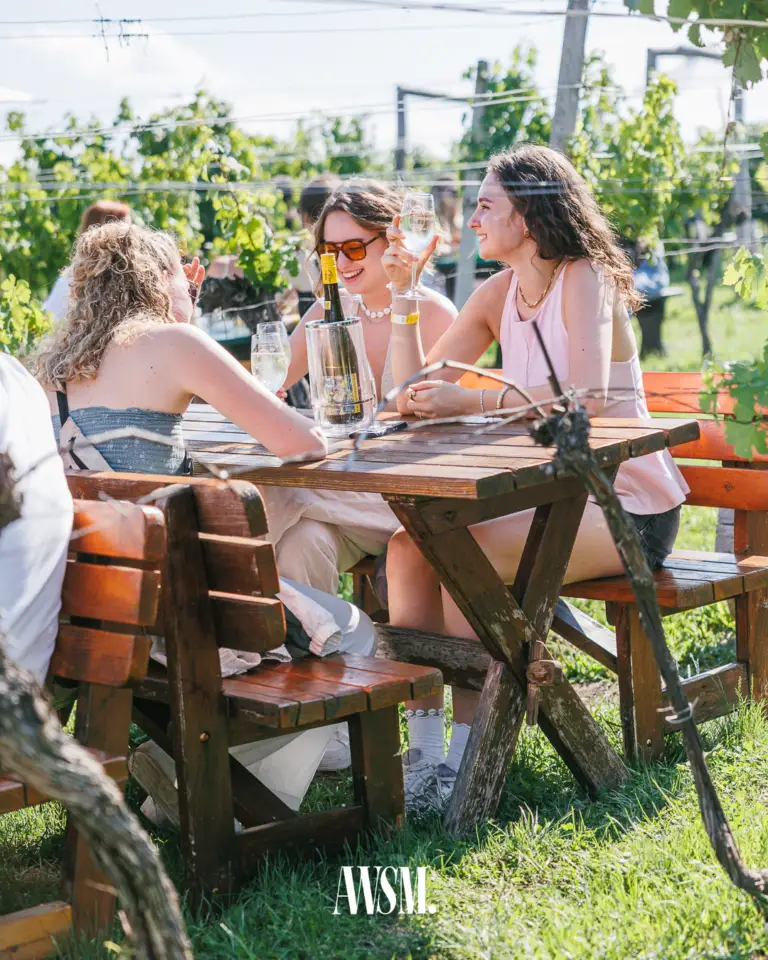 Vineyard Edition – AWSM event photo 10 of 92, Buschenschank Feuerwehr Wagner am Nussberg, Vienna, 19 July 2025