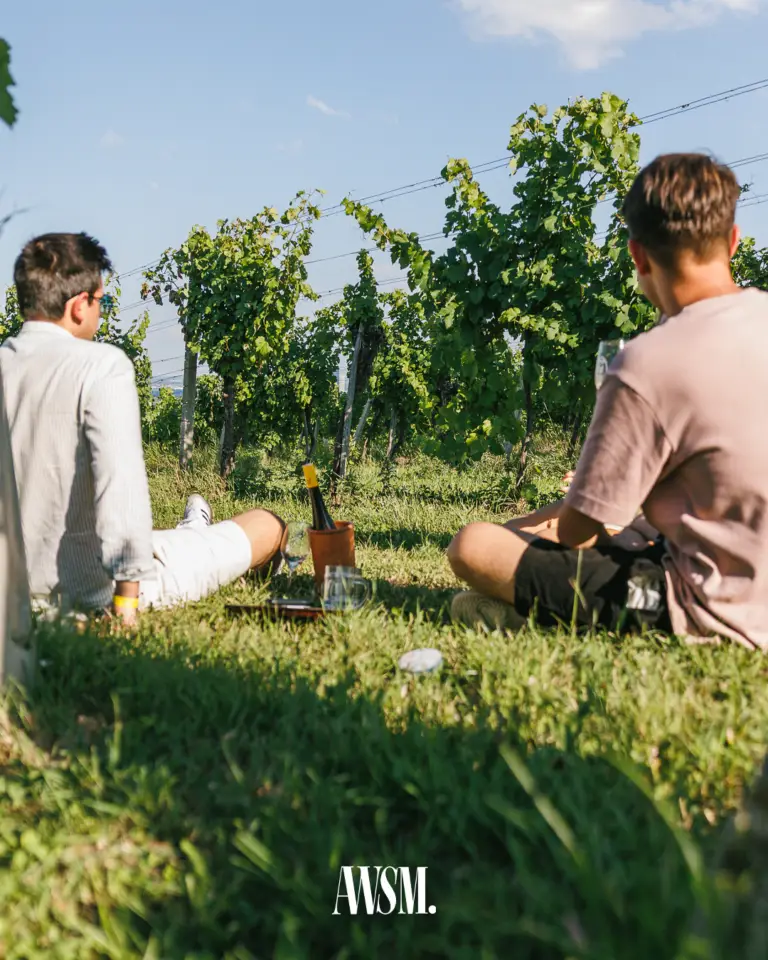 Zwei Gäste sitzen zwischen den Rebzeilen im Gras, Weinflasche im Kühler und Gläser zwischen ihnen, blauer Himmel – Vineyard Edition, 19.07.2025