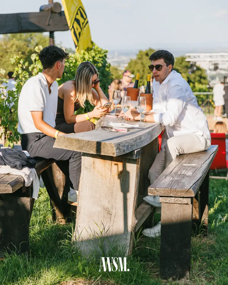 Drei Gäste an einem rustikalen Tisch auf einem Baumstamm mit Weingläsern und Flaschen im Kühler, dahinter Weinreben und Stadtblick – 19.07.2025