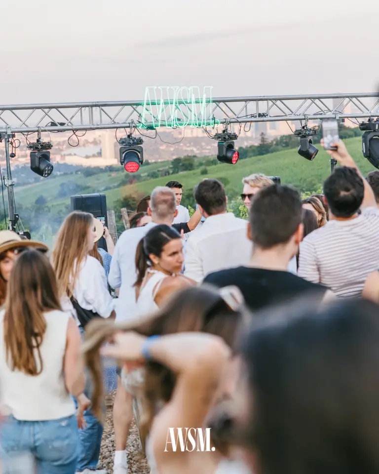 Menge vor dem DJ-Bereich mit leuchtendem AWSM-Schriftzug, ein Handy wird hochgehalten, Blick über Weinberge auf die Stadt – Vineyard, 19.07.2025