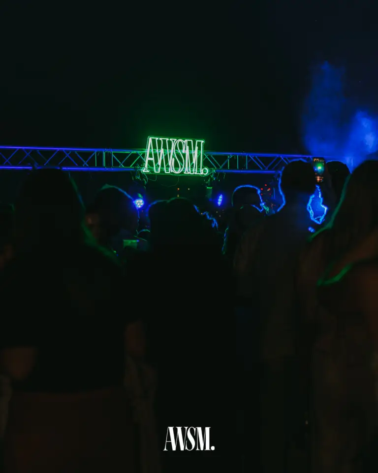 Silhouetten der Gäste unter dem grünen AWSM-Schriftzug, blaues Licht und Nebel über der Tanzfläche bei Nacht – Vineyard Edition, 19.07.2025