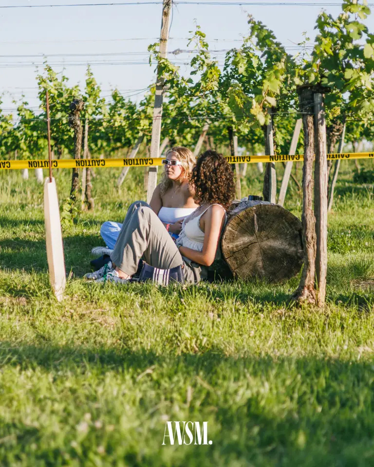 Vineyard Edition – AWSM event photo 14 of 171, Buschenschank Feuerwehr Wagner am Nussberg, Vienna, 14 June 2025