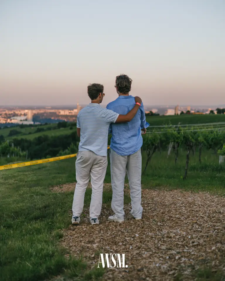 Zwei Männer von hinten, Arm um die Schulter, blicken vom Weinberg auf die Stadt im Licht der Dämmerung – Vineyard Edition, 14.06.2025