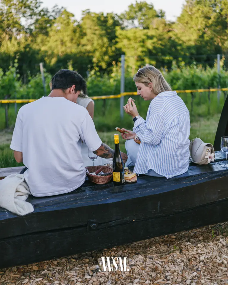 Frau und Mann sitzen bei Jause, Brotkorb und Weinflasche auf einem dunklen Holzbalken vor den Rebzeilen – Vineyard Edition, 14.06.2025