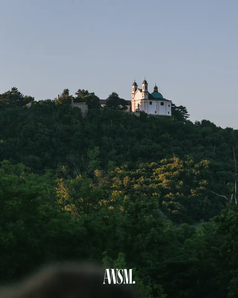 Blick vom Weinberg am Nussberg auf einen bewaldeten Hügel mit weißer Kirche im warmen Abendlicht – Vineyard Edition, 14.06.2025