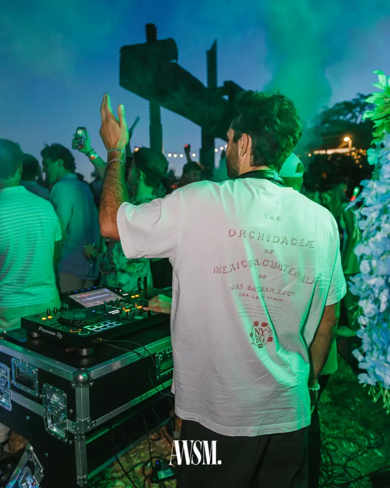 DJ von hinten am Pult mit erhobener Hand, vor ihm die Menge in grünem Nebel und eine Lichterkette in der Dämmerung – Vineyard Edition, 14.06.2025