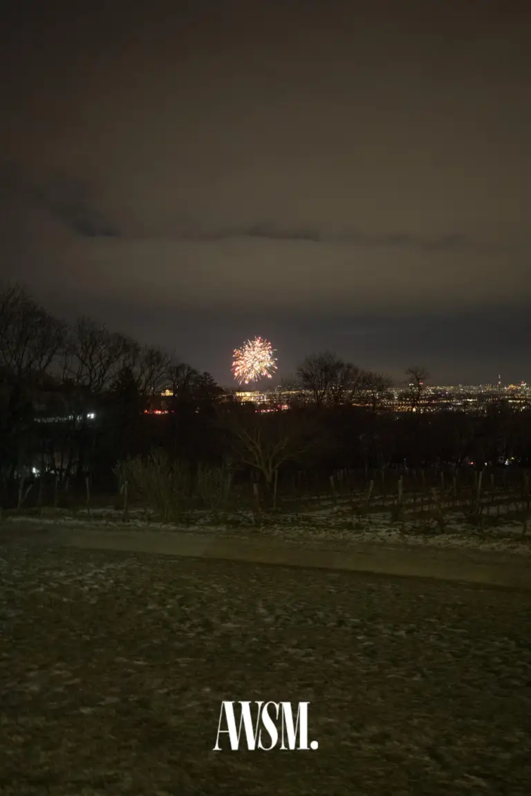 Nächtlicher Blick über Weinstöcke und Bäume auf die Lichter der Stadt, darüber leuchtet ein einzelnes Feuerwerk – NYE Skyline Edition, 31.12.2025