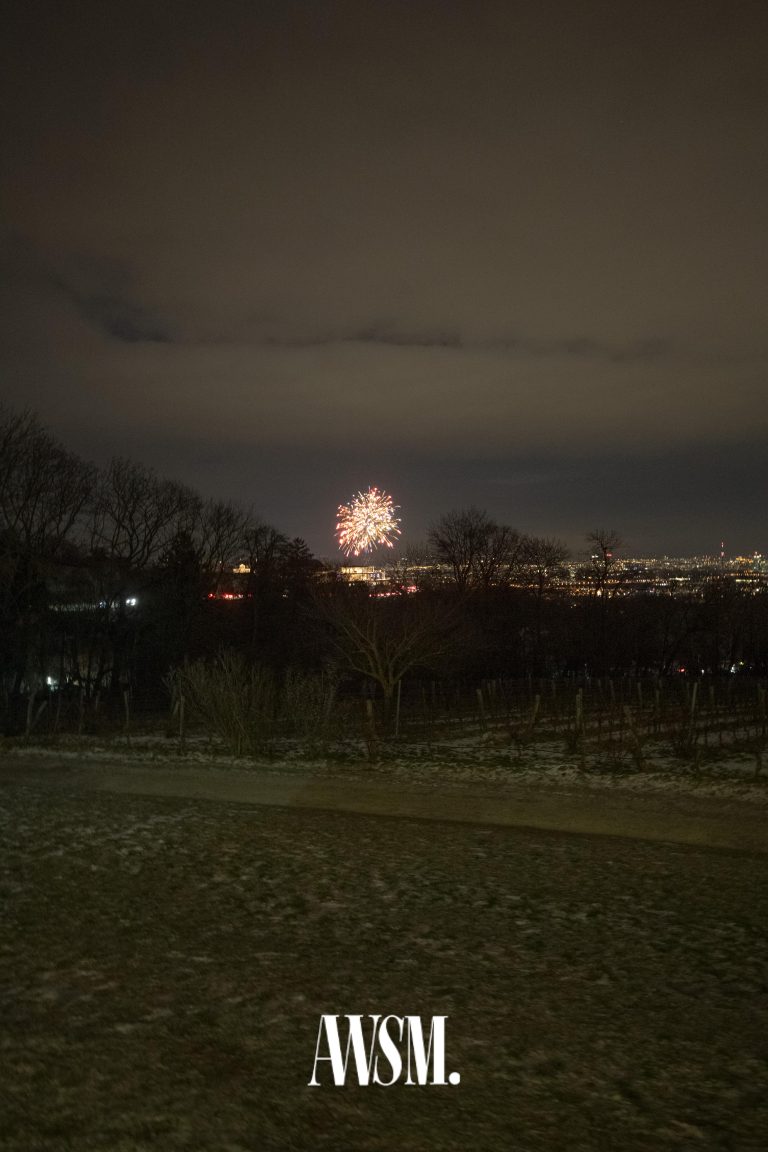 AWSM 31.12.2025 AWSM Eventfoto Wien 79