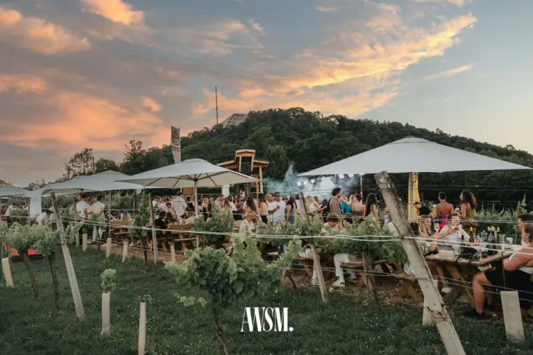Guests at tables under white umbrellas among the vines on Nussberg, pink clouds overhead at sunset – Vineyard Summer Opening, 20 June 2026
